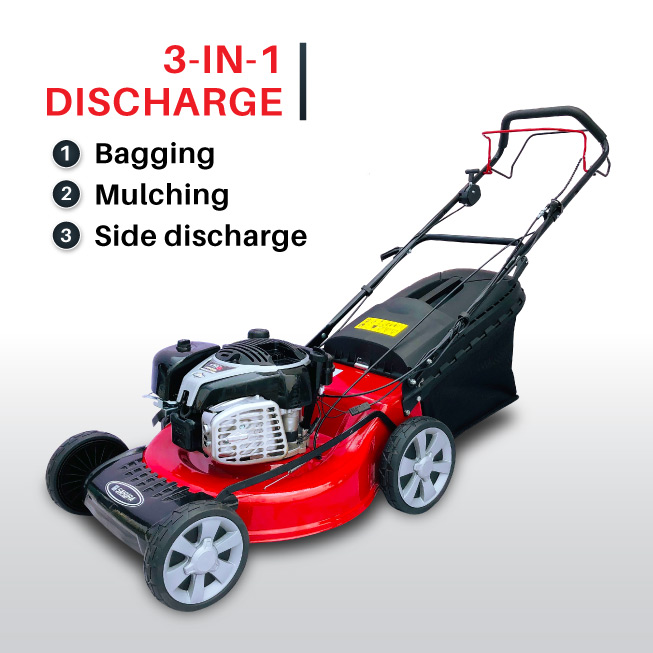 Pasted Image Pasted Image