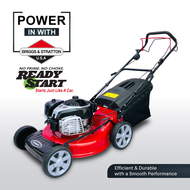 Pasted Image Pasted Image