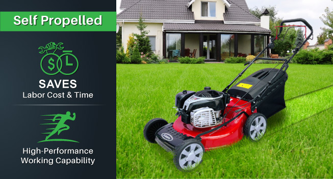 Pasted Image Pasted Image