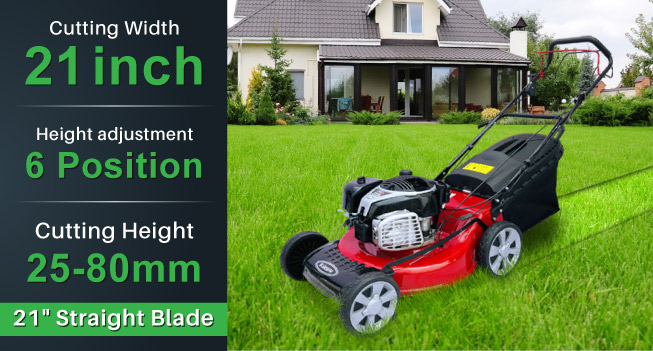 Pasted Image Pasted Image